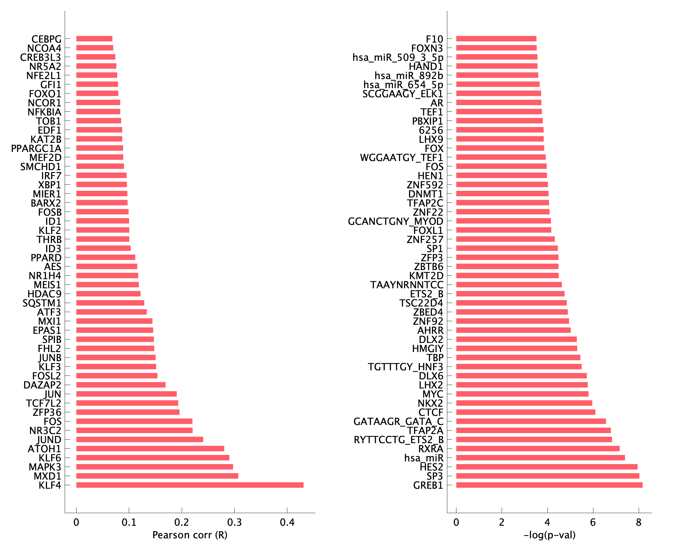 TF enrichment of pEpi41