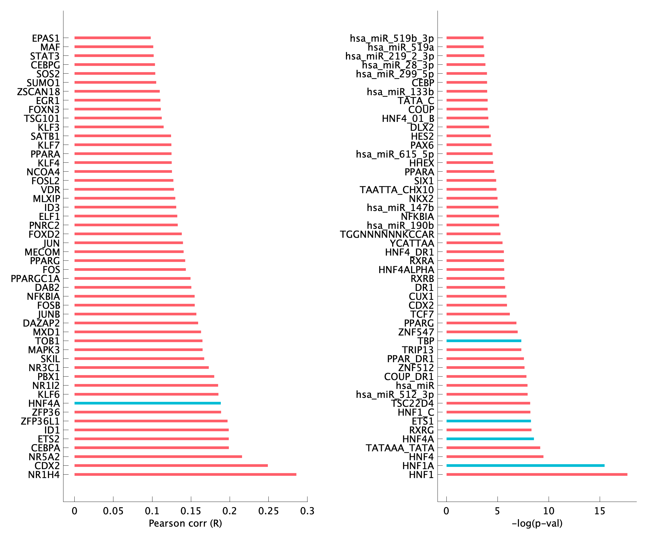 TF enrichment of pEpiTd24