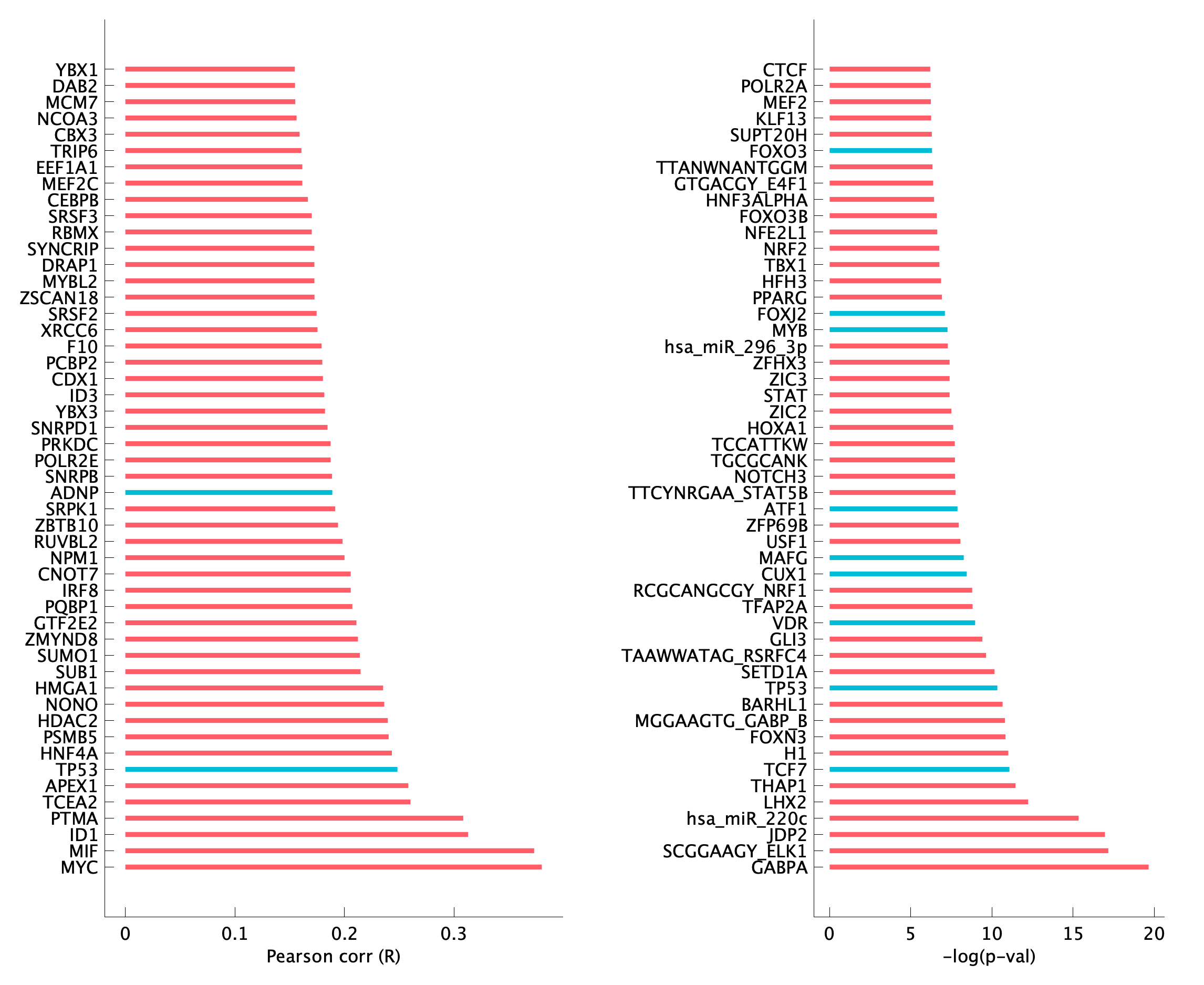 TF enrichment of pEpiTp01