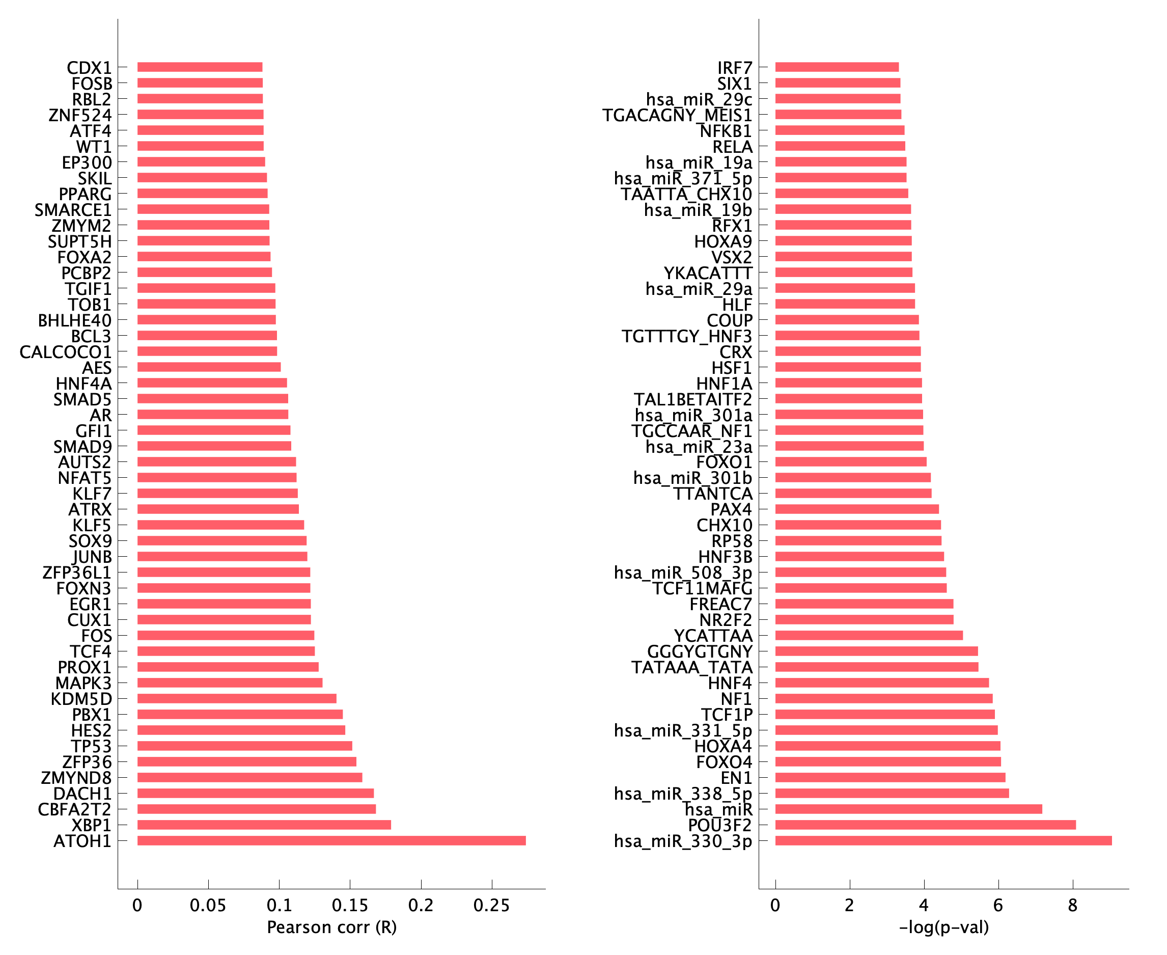 TF enrichment of pEpiTp08