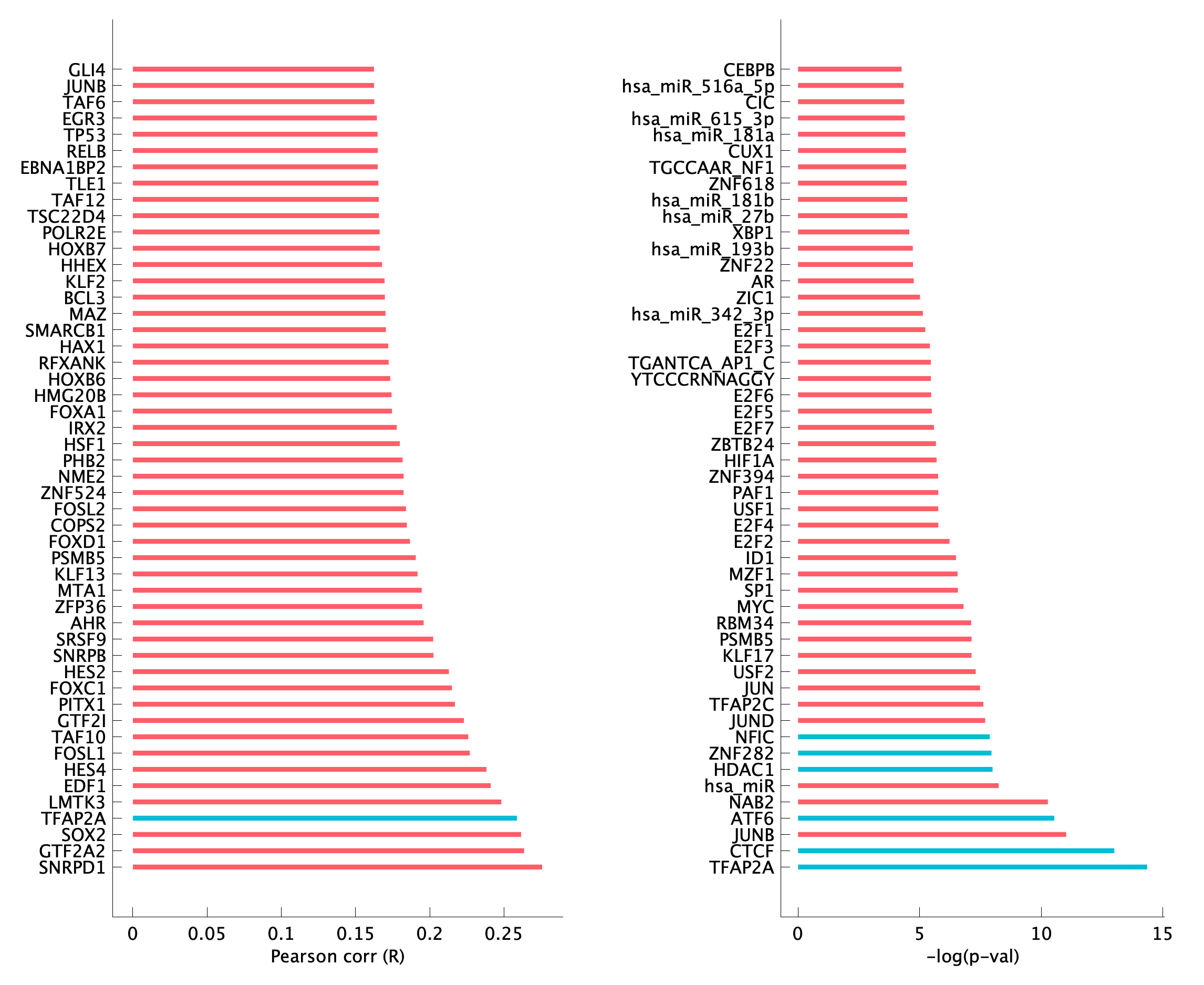 TF enrichment of pEpiTp11