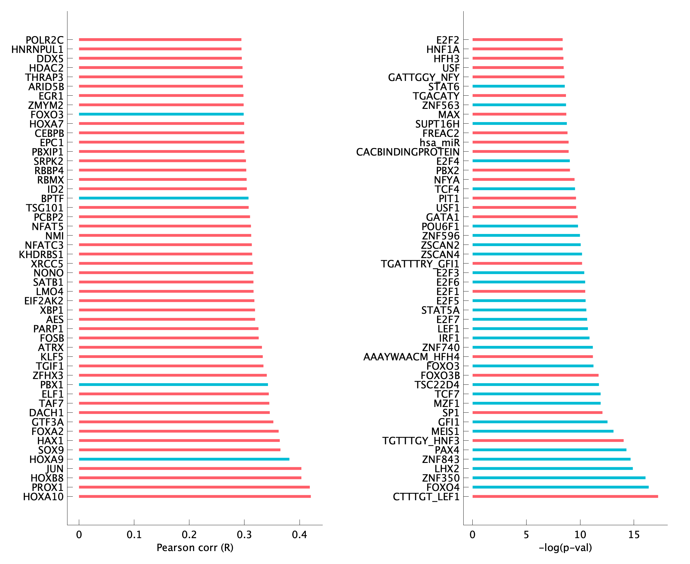 TF enrichment of pEpiTp24