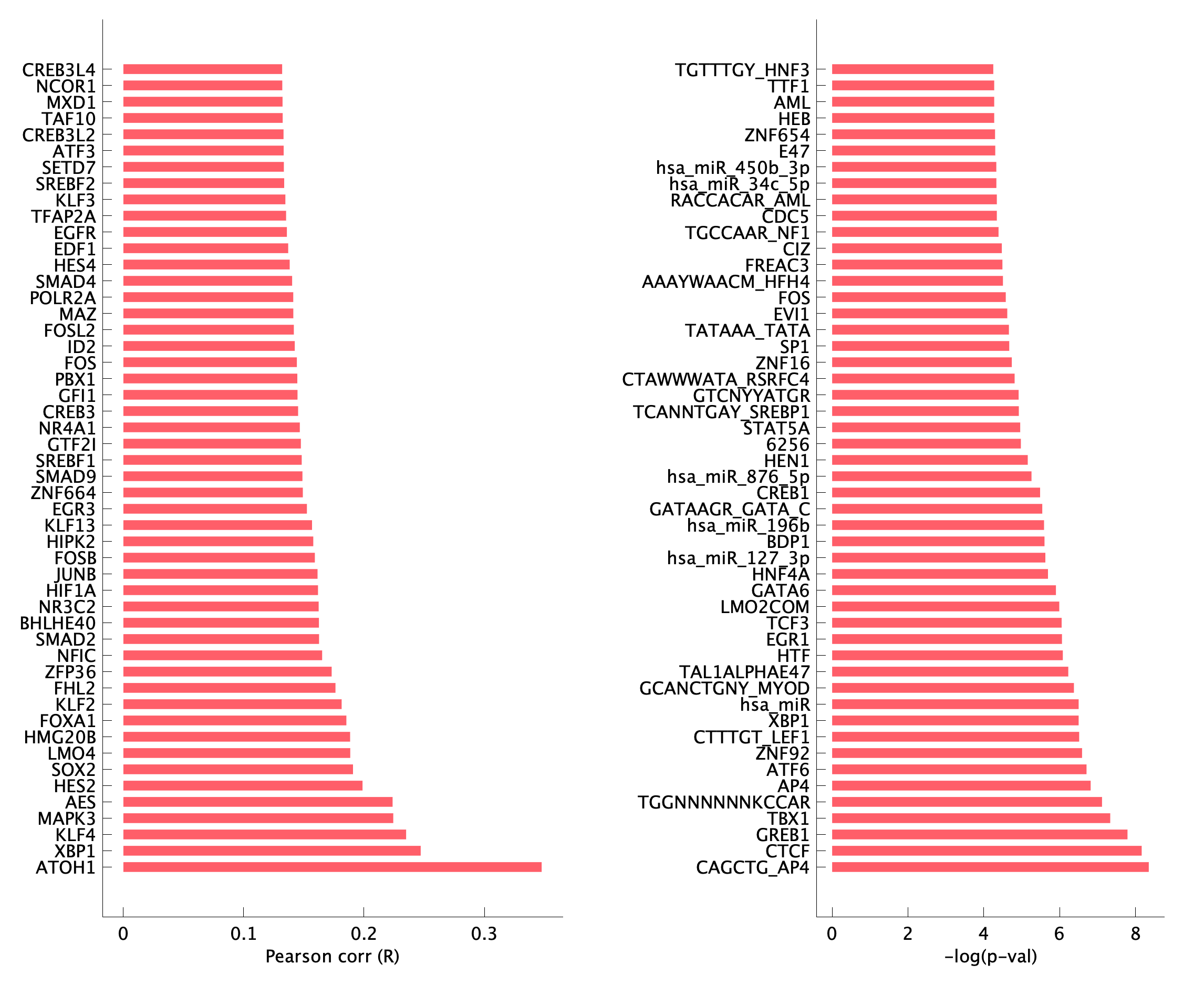 TF enrichment of pEpiTp28