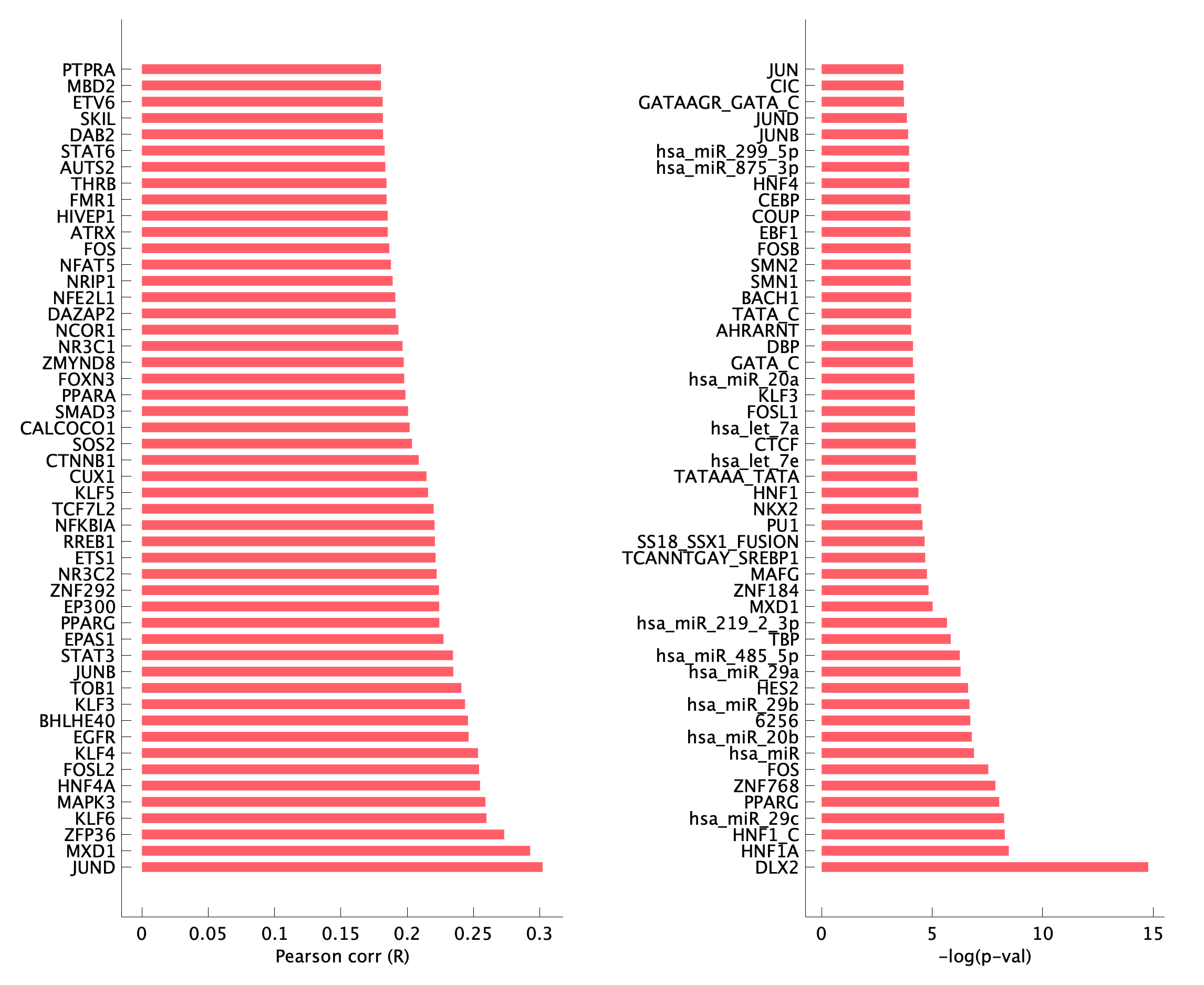 TF enrichment of pEpiTp29