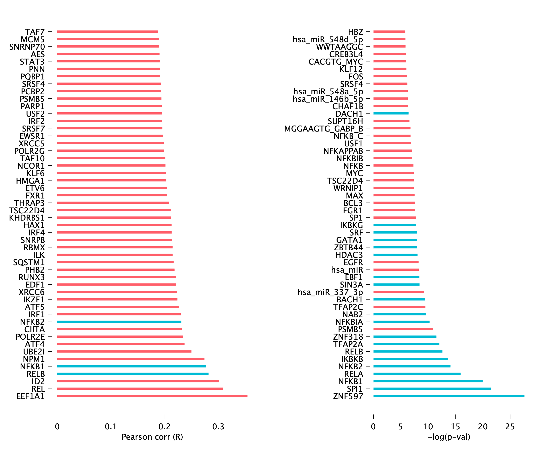 TF enrichment of pM11