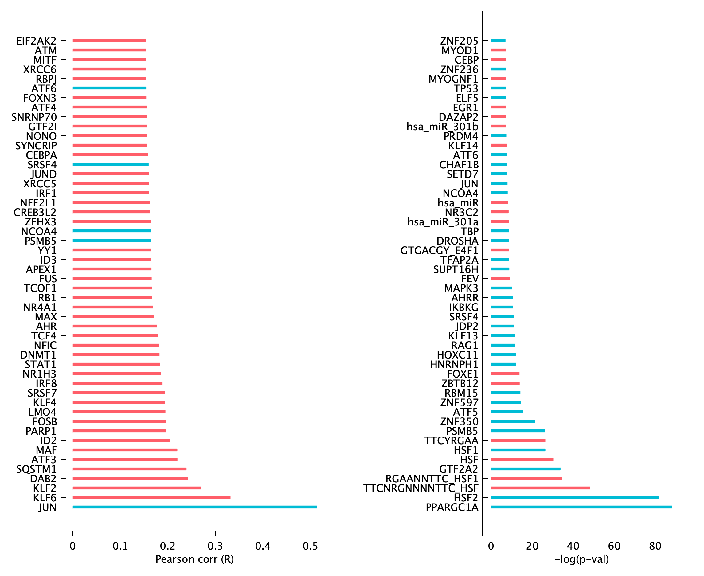 TF enrichment of pM12