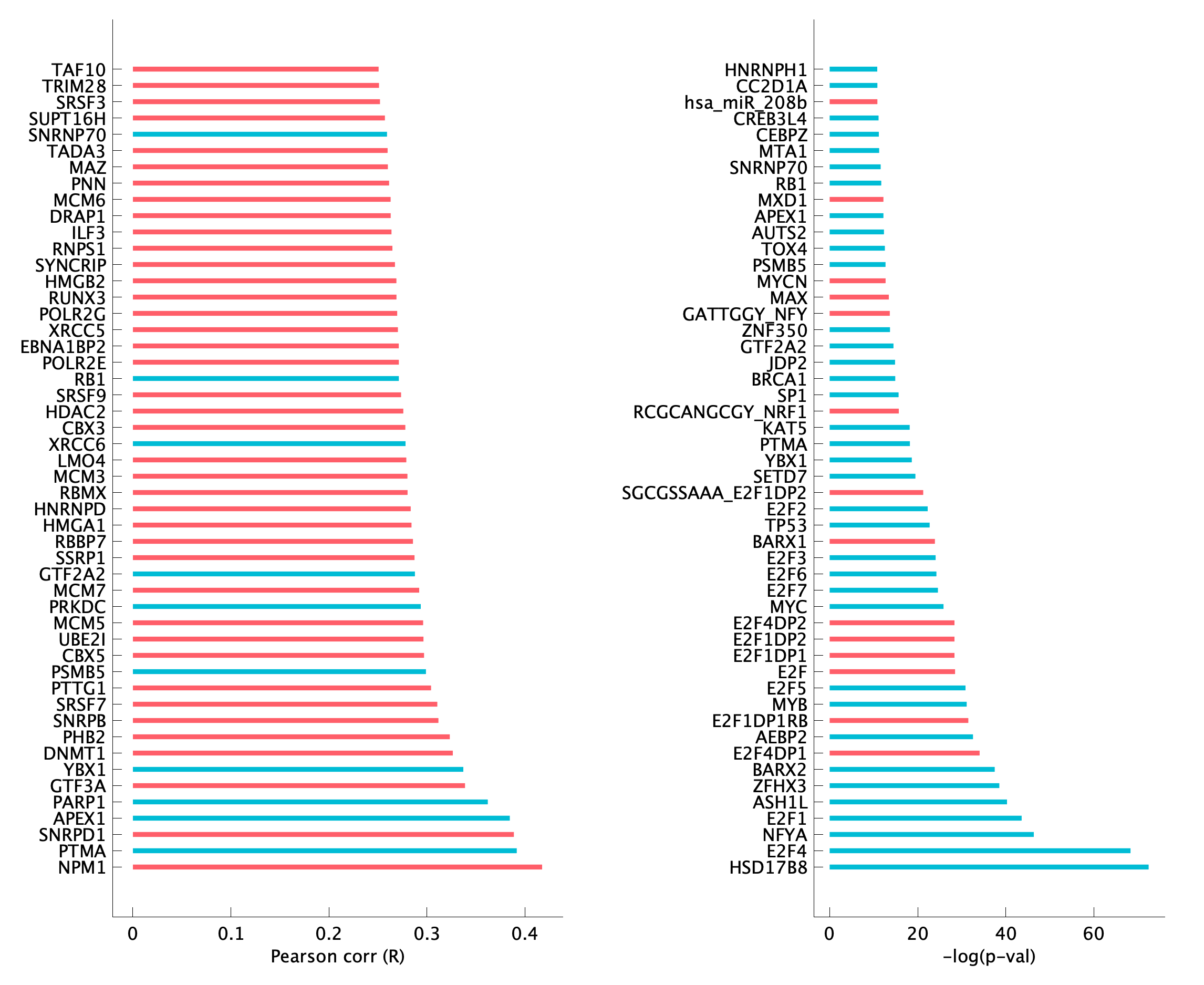 TF enrichment of pM18