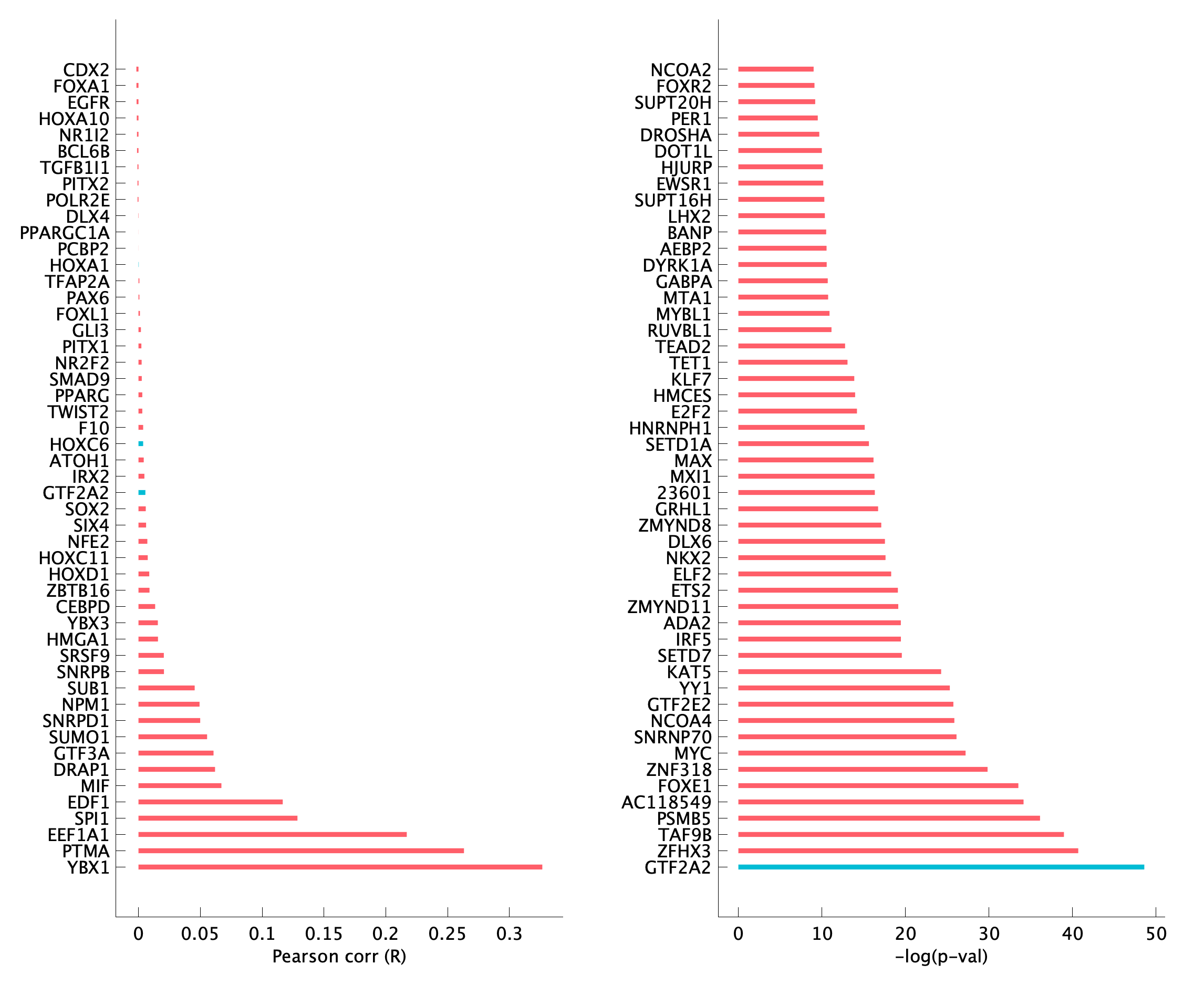 TF enrichment of pM19