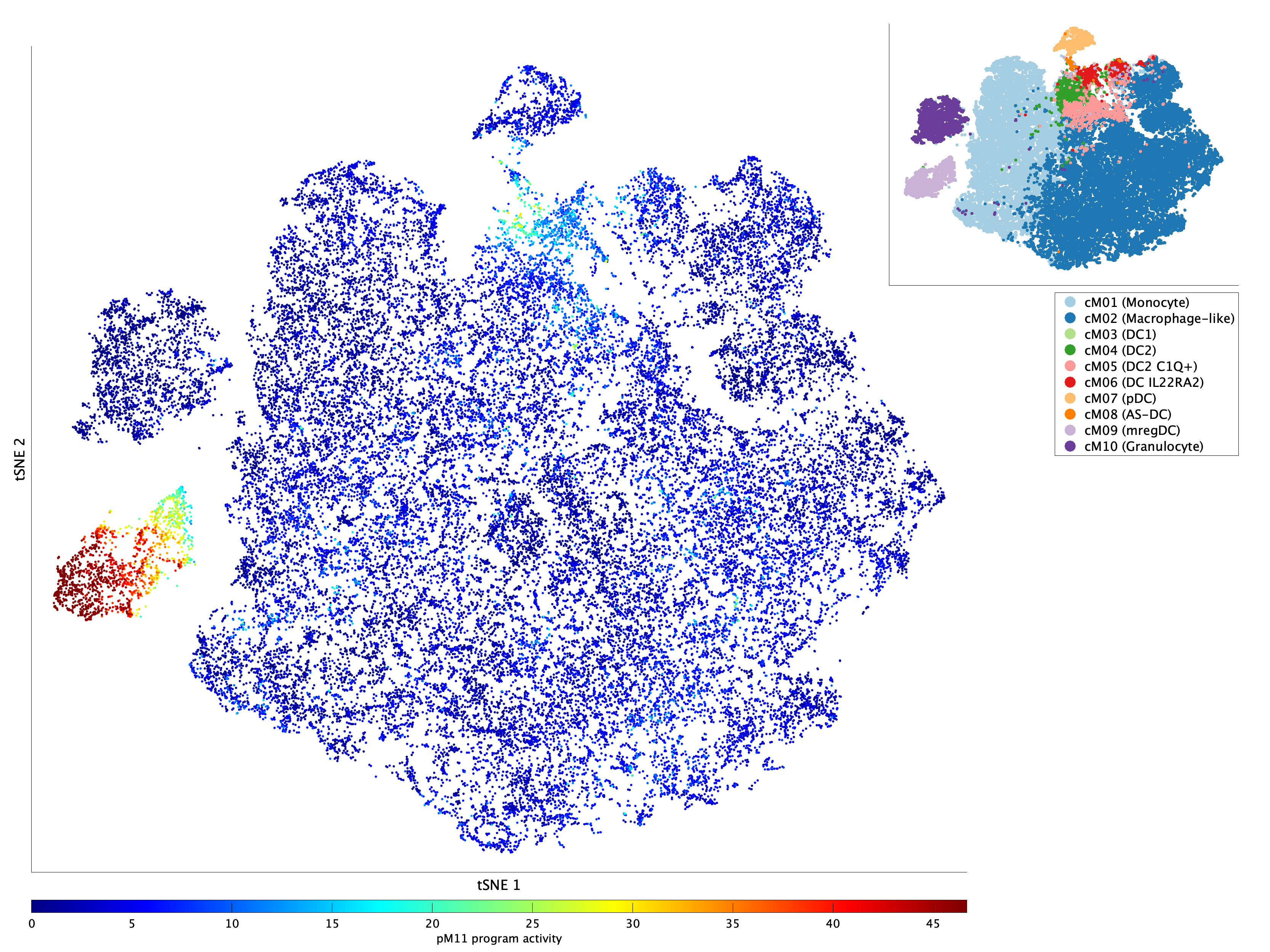 Activation of pM11