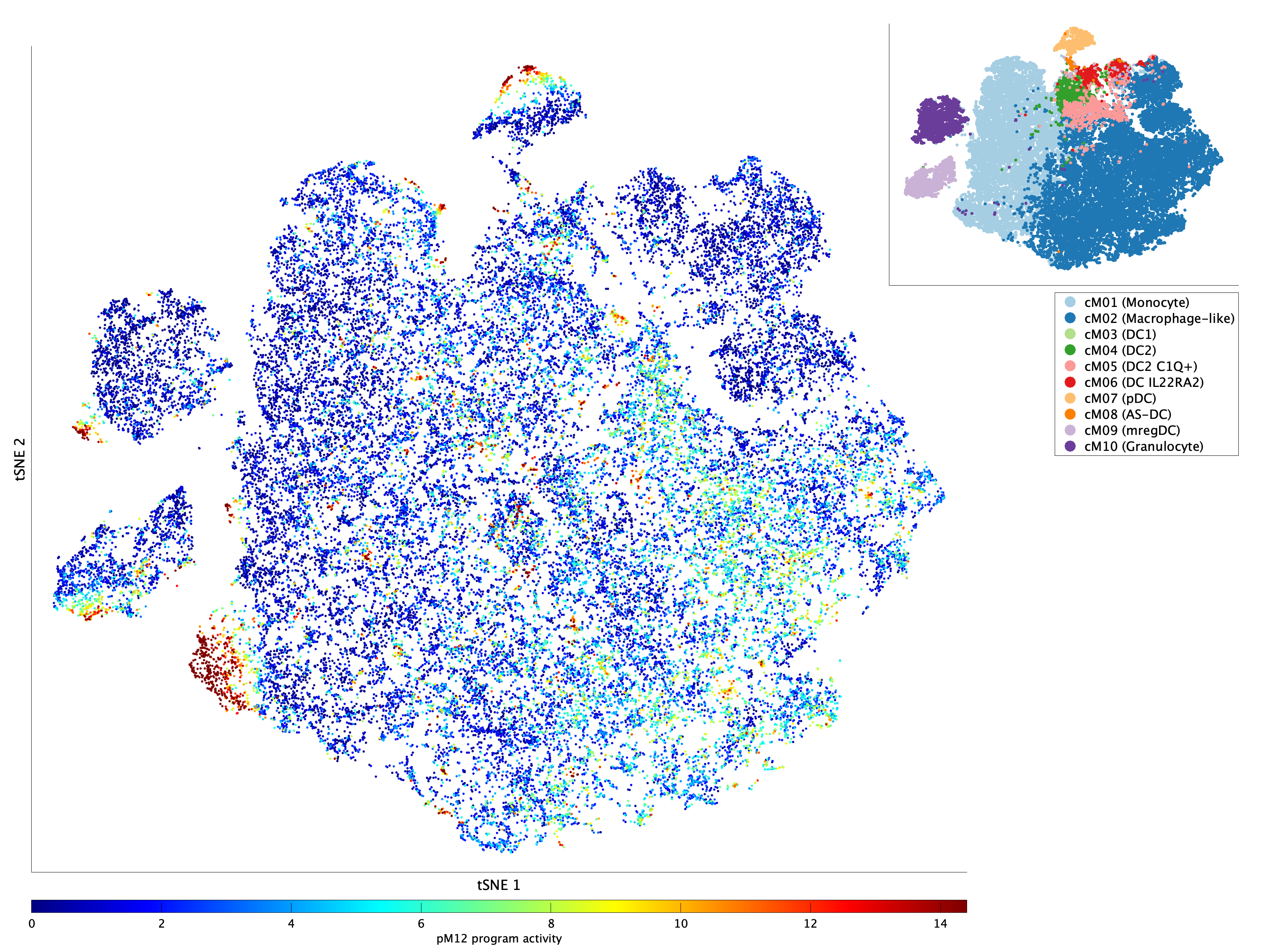 pM12 (HSPs) | Multicellular immune hubs and their organization in