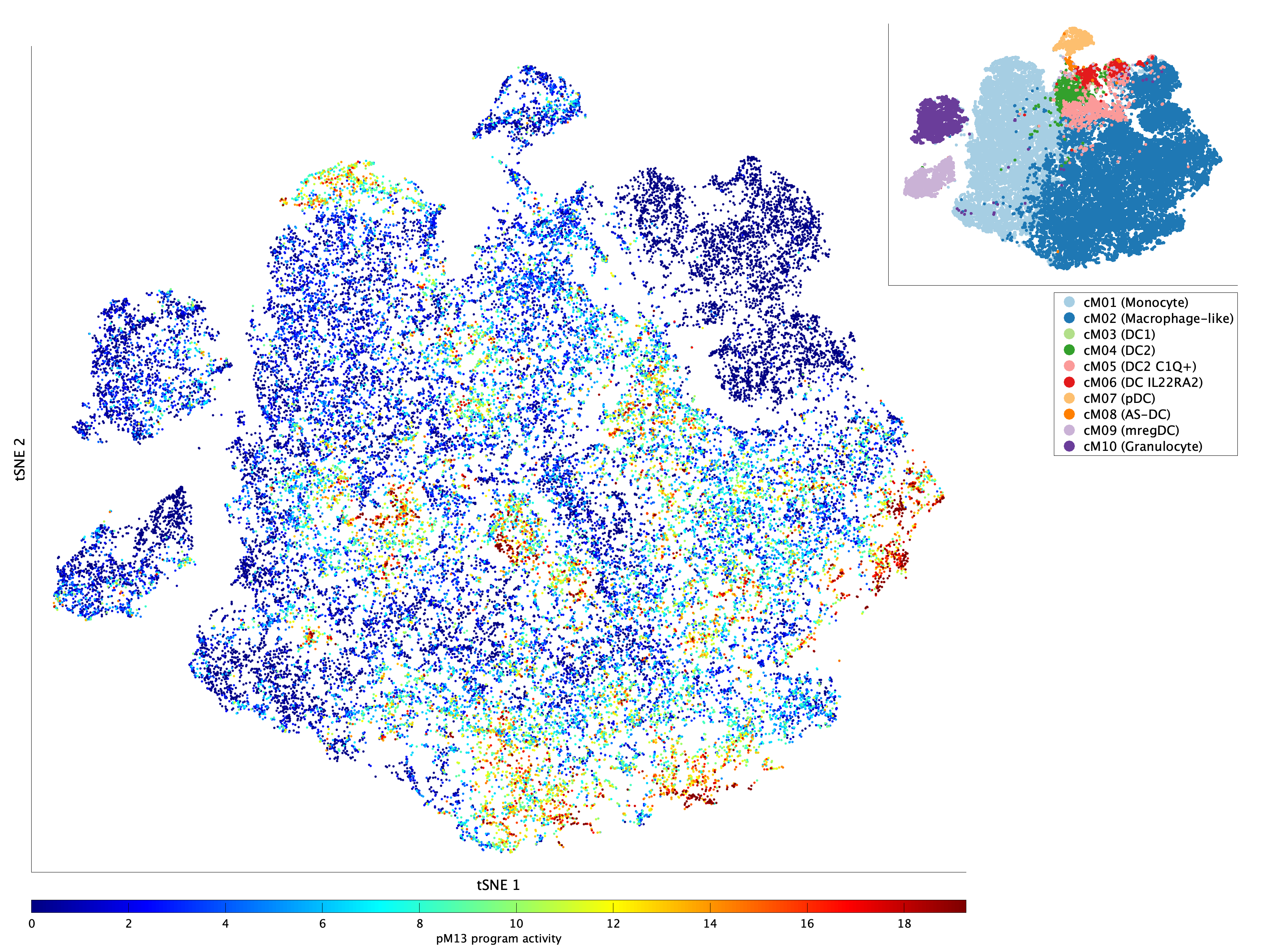 Activation of pM13