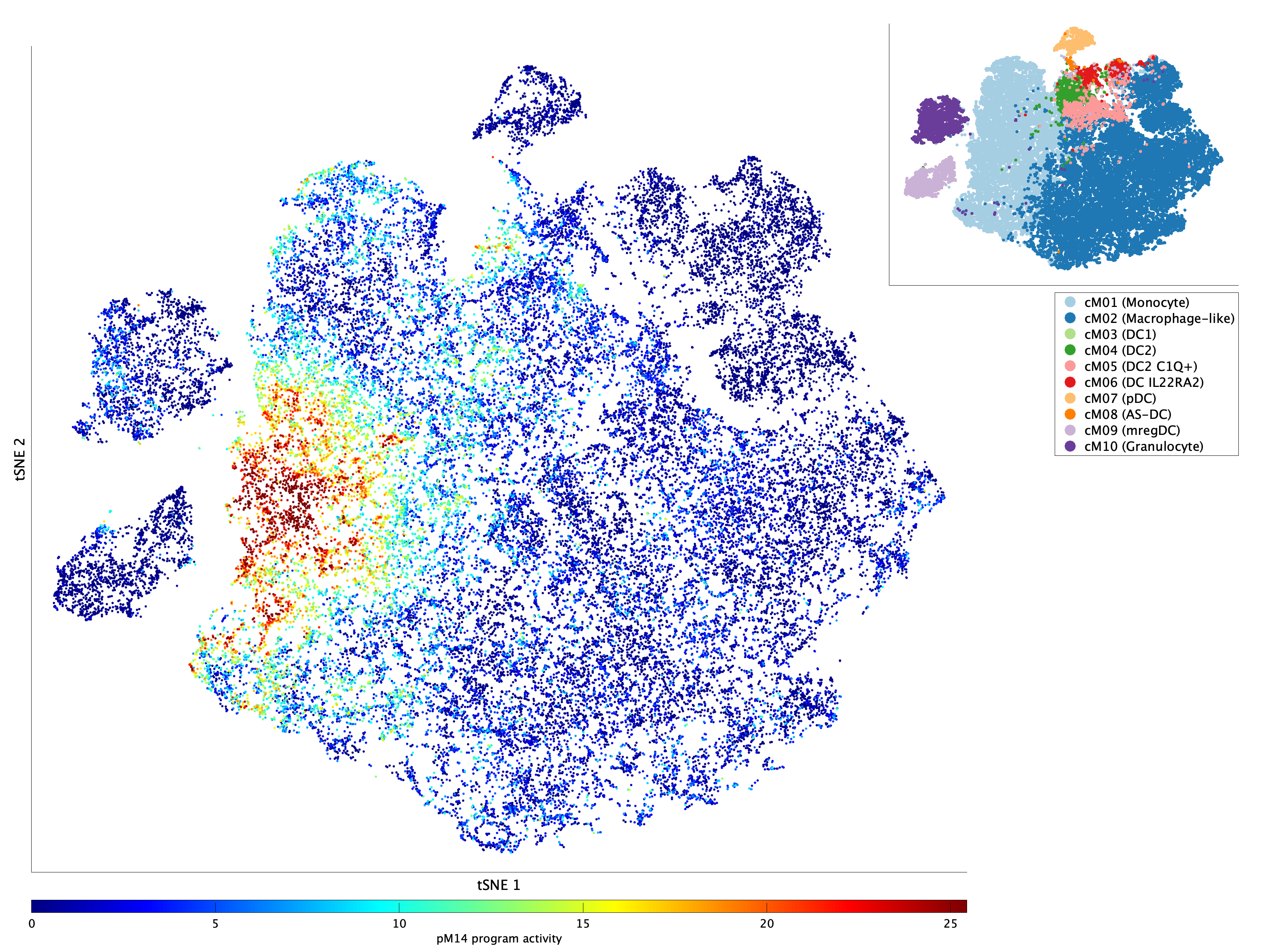 Activation of pM14