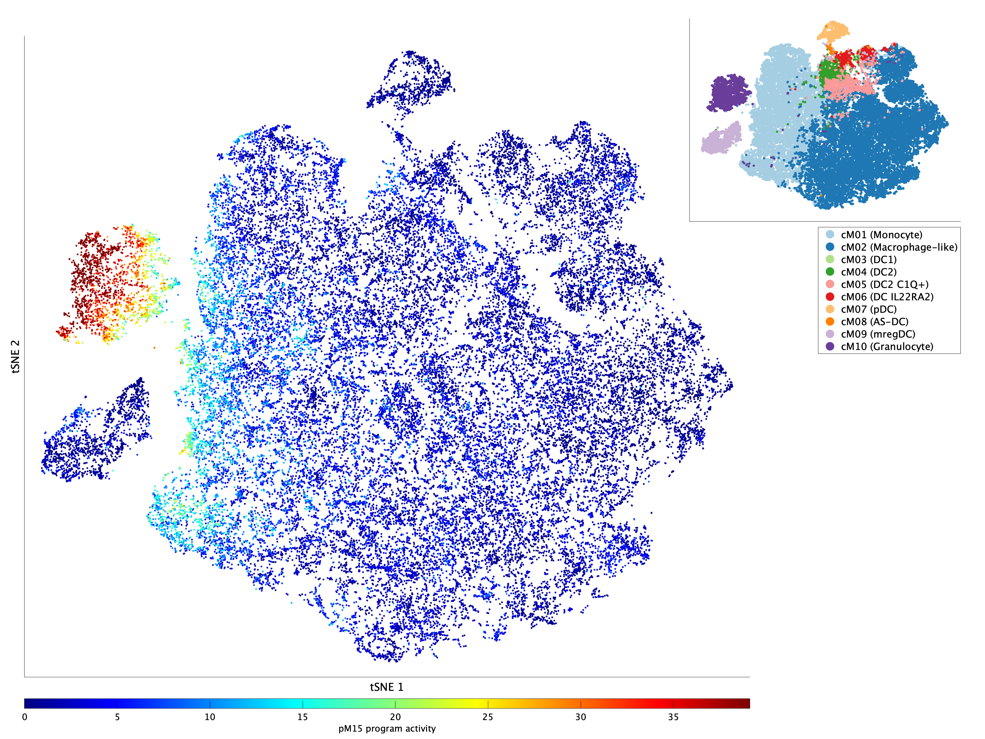 Activation of pM15