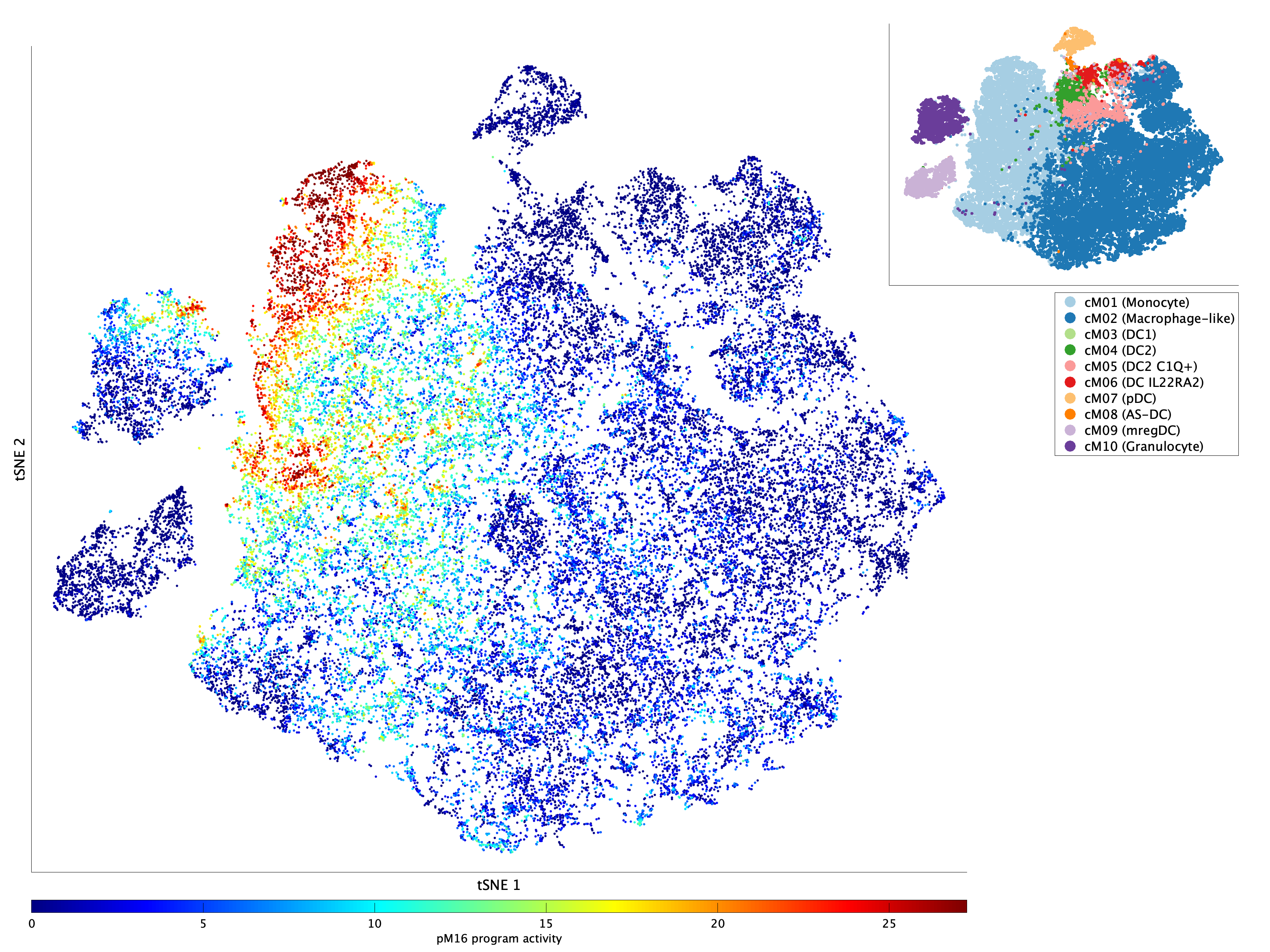 Activation of pM16