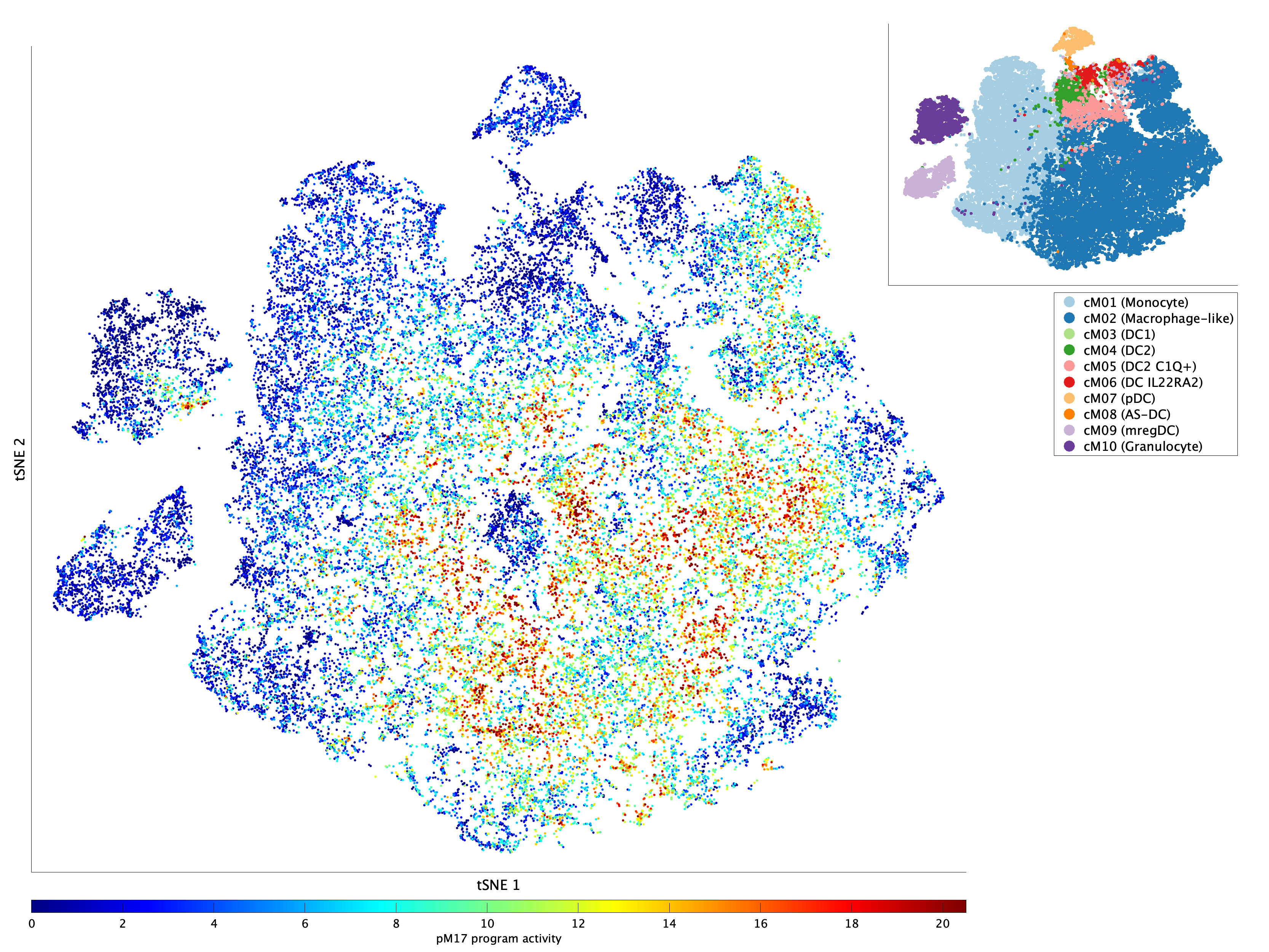 Activation of pM17