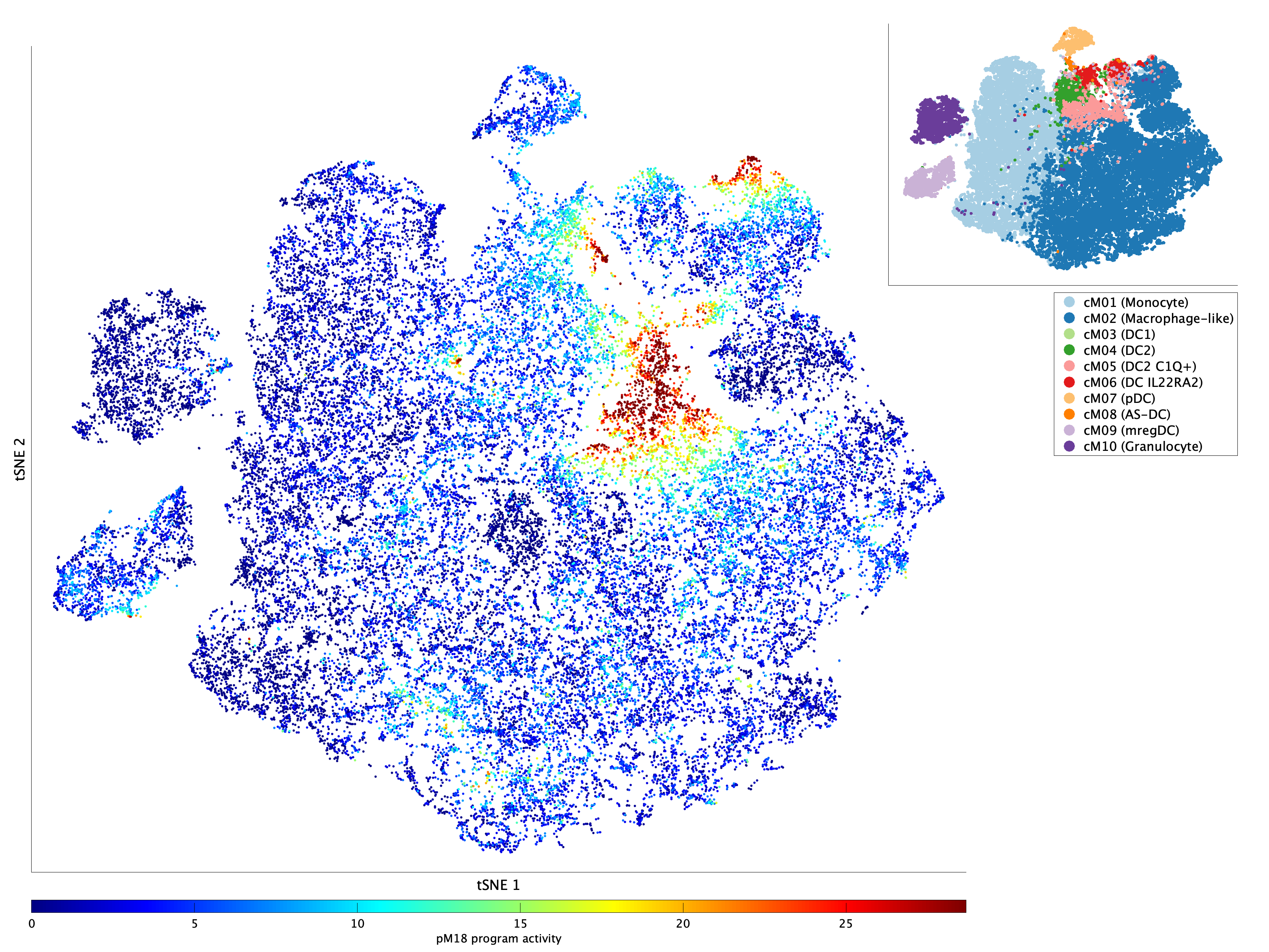 Activation of pM18