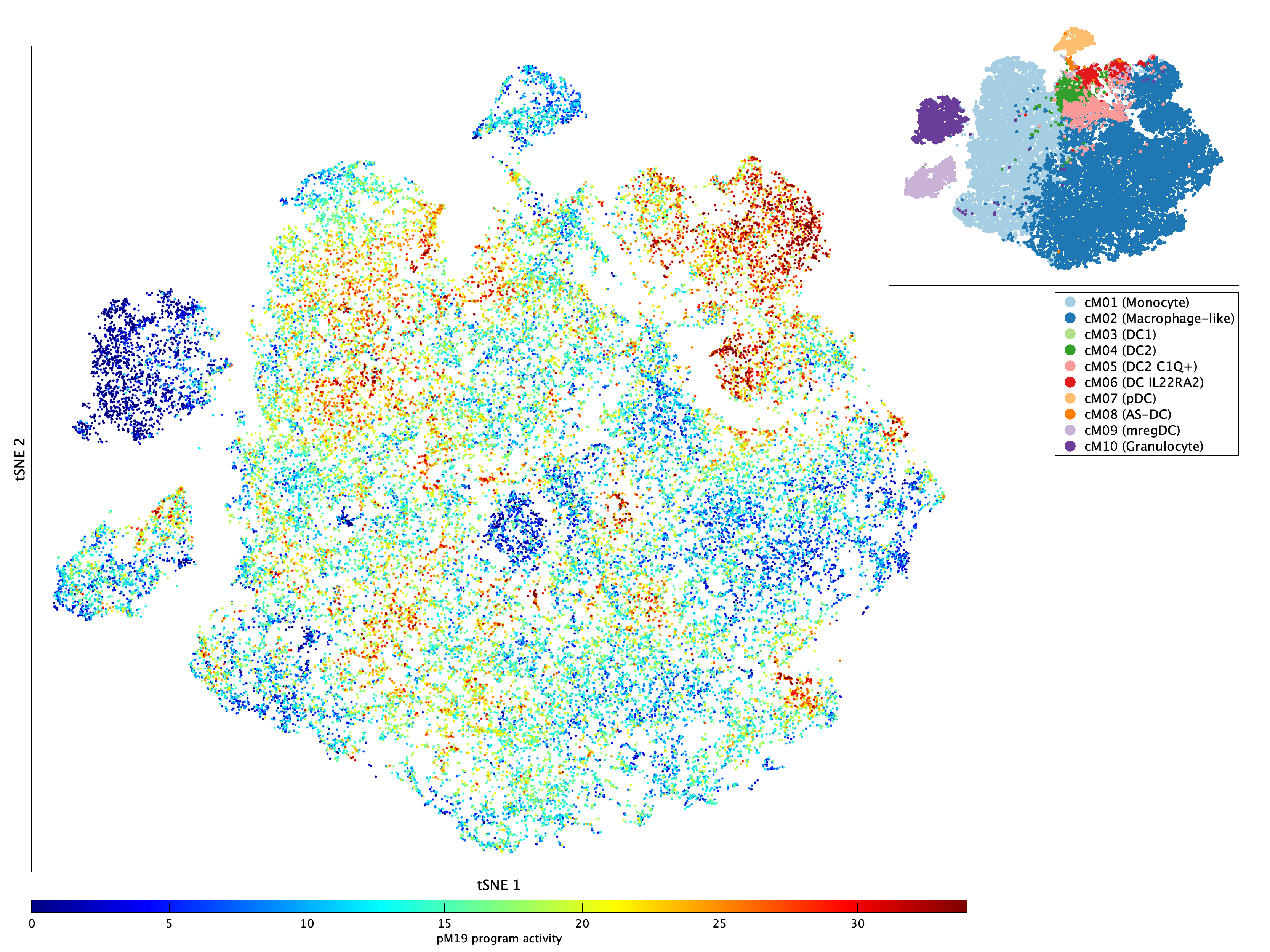 Activation of pM19