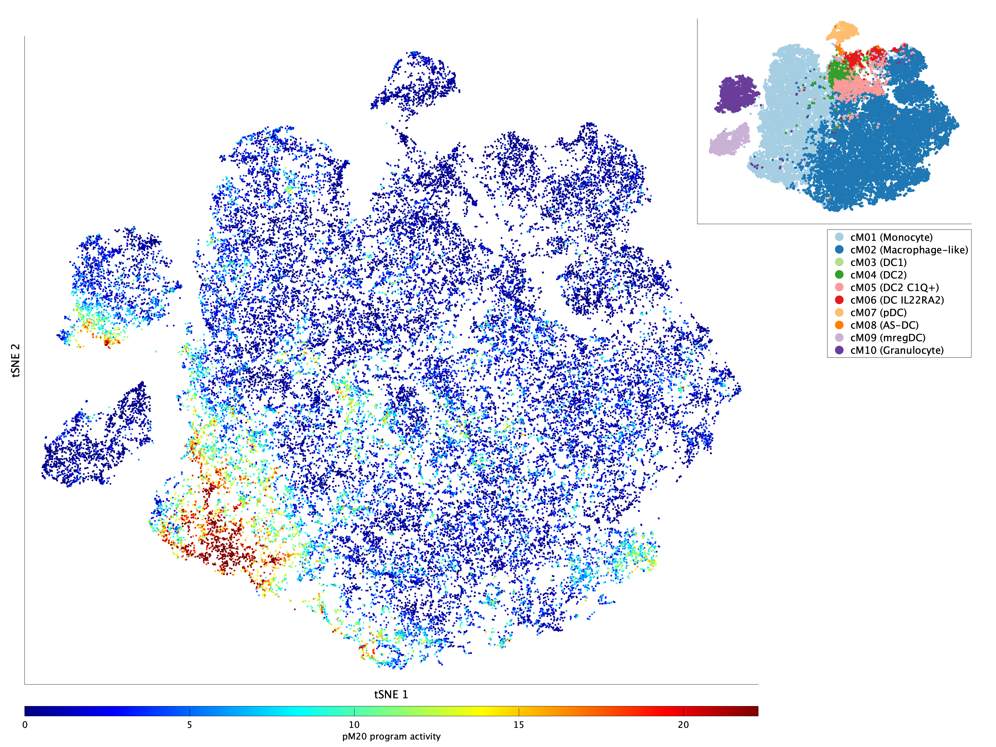 Activation of pM20