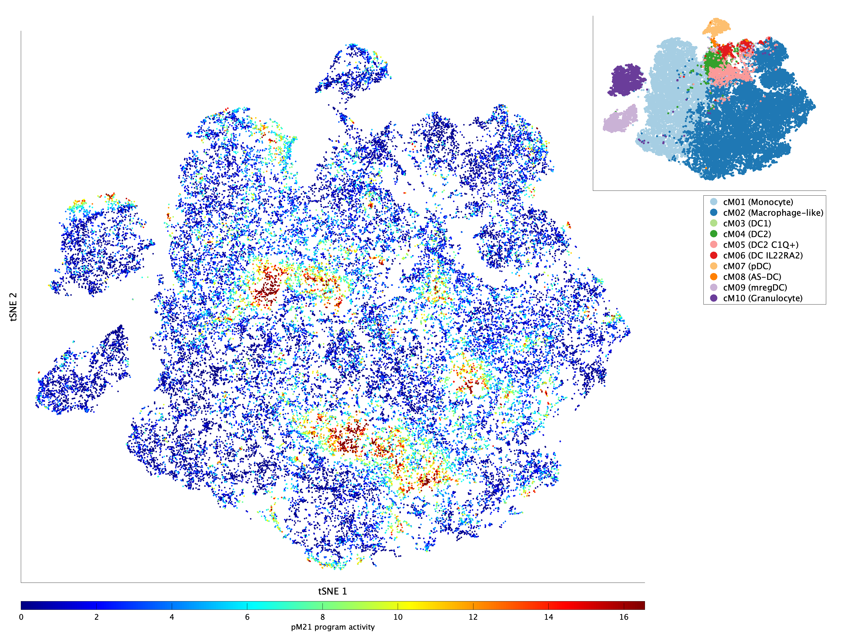 Activation of pM21