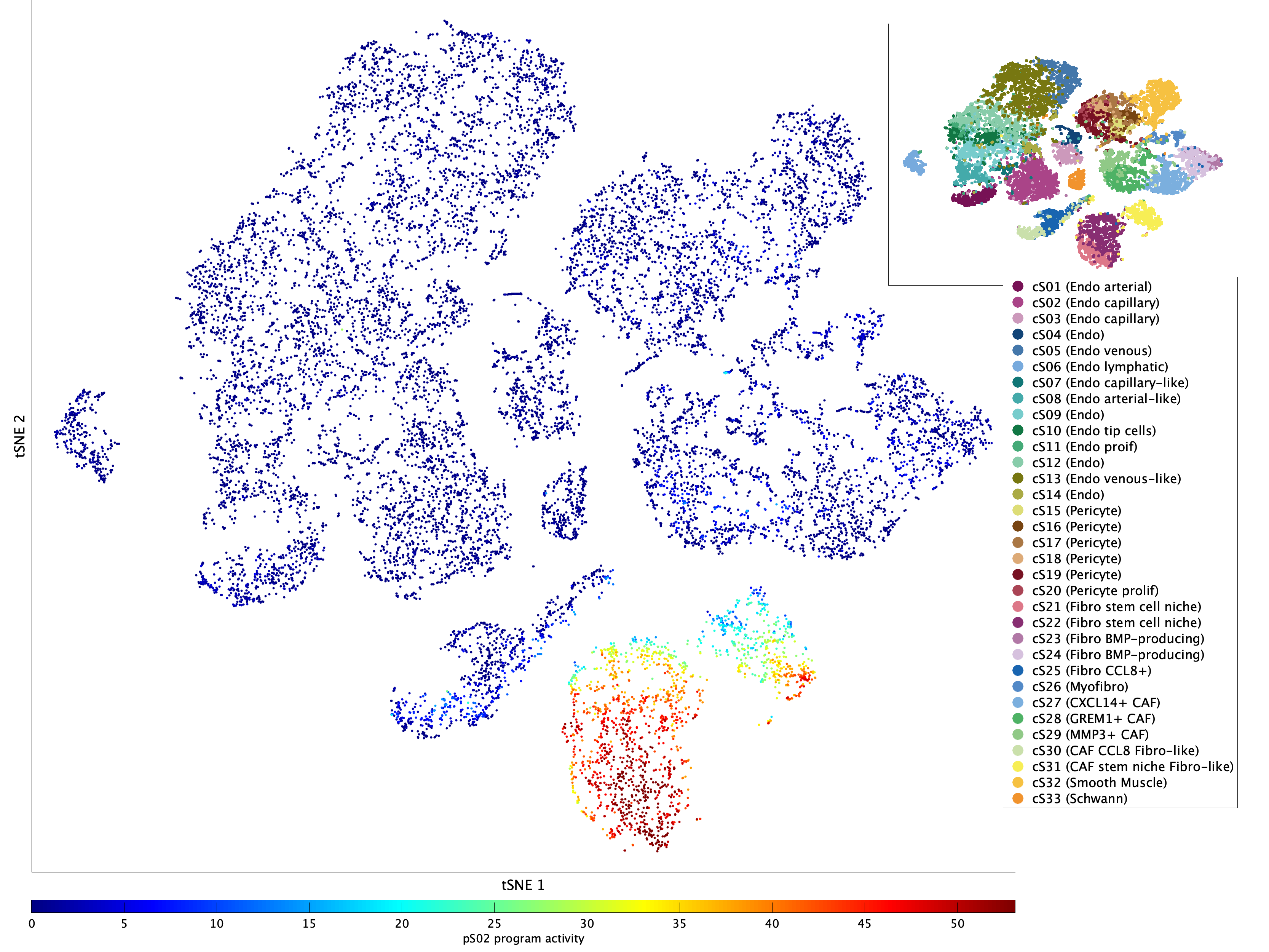 Activation of pS02