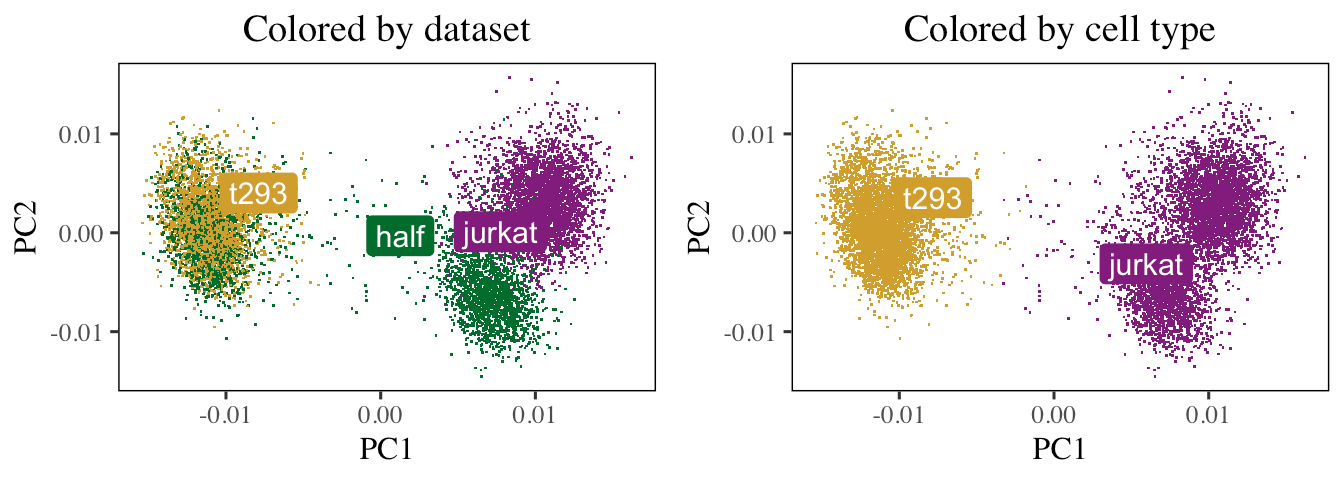 Cells colored by dataset and cell type